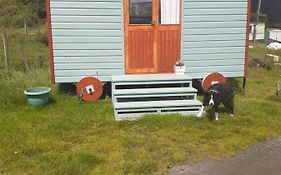 Croft Of Clune Shepherds Hut